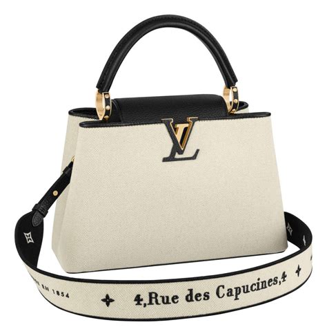 capucine louis vuitton history|louis vuitton capucines price euro.